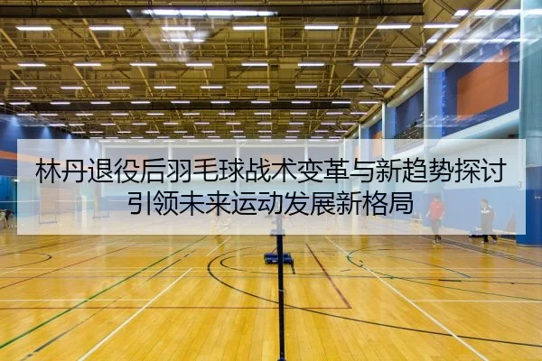 林丹退役后羽毛球战术变革与新趋势探讨引领未来运动发展新格局